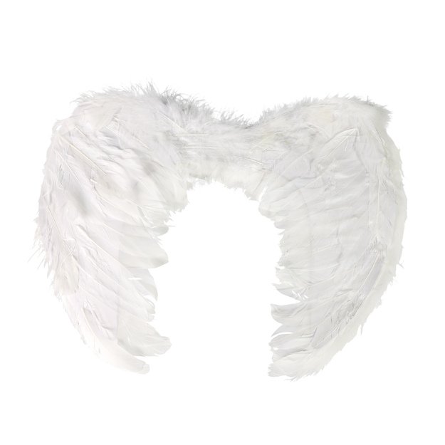 the angel wings with feathers