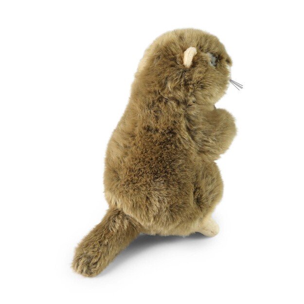 Plush marmot 23 cm ECO-FRIENDLY