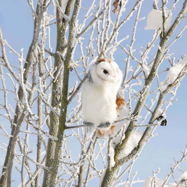 Plush common barn owl 17 cm ECO-FRIENDLY