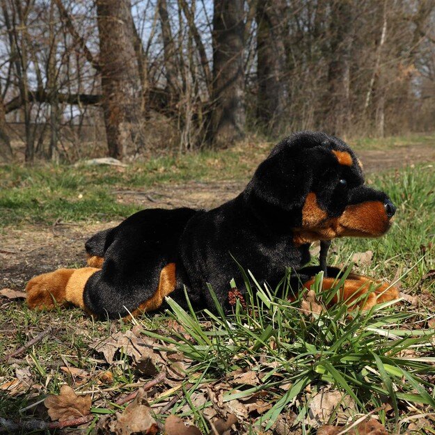 Plush Rottweiler 44 cm ECO-FRIENDLY