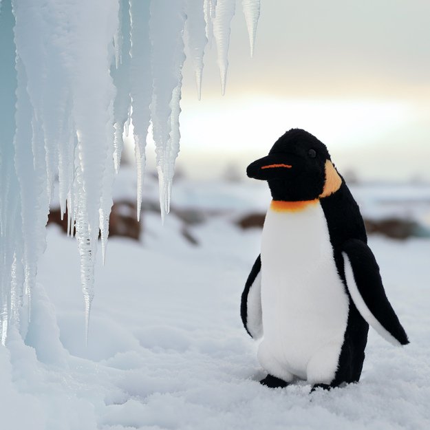 Plush penguin 18 cm ECO-FRIENDLY