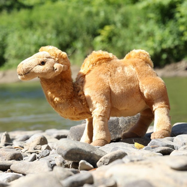 Plush camel 24 cm ECO-FRIENDLY