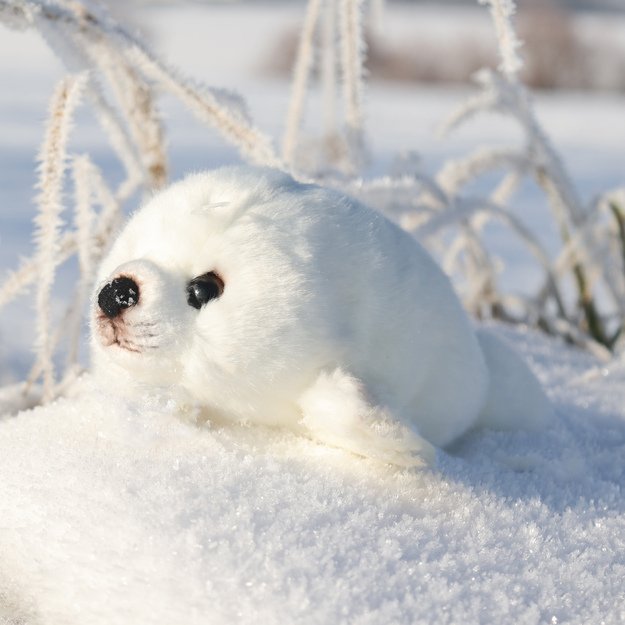 Plush seal 23 cm ECO-FRIENDLY