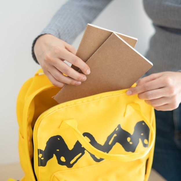 Snoopy - School Backpack (36x13x31 cm) 5