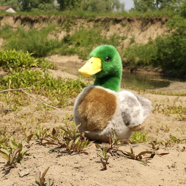 Plush duck 20 cm ECO-FRIENDLY
