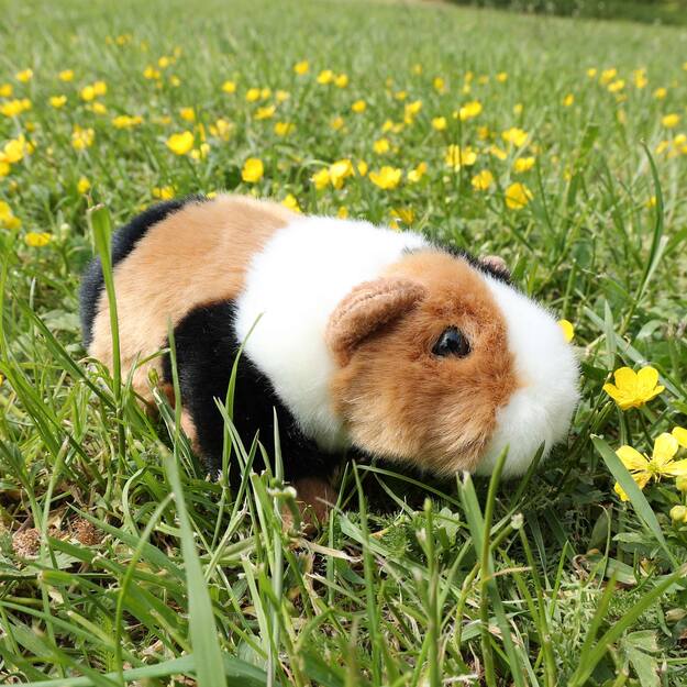 Plush guinea pig 17 cm ECO-FRIENDLY