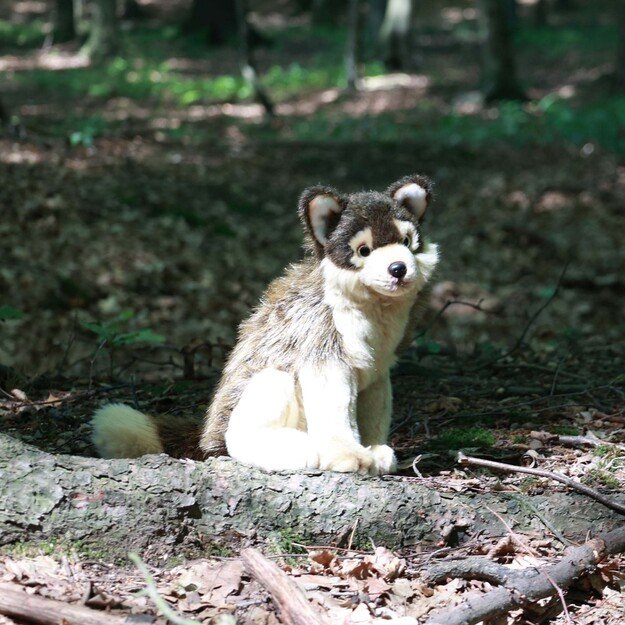 Plush wolf 28 cm ECO-FRIENDLY