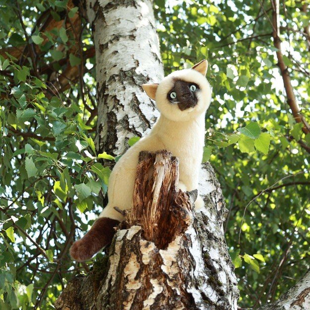 Plush Siamese cat 30 cm ECO-FRIENDLY