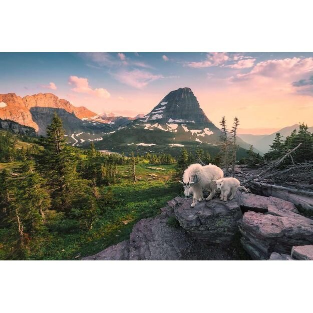 Ravensburger Puzzle 3000 pc With an Alpine Ibex Kid