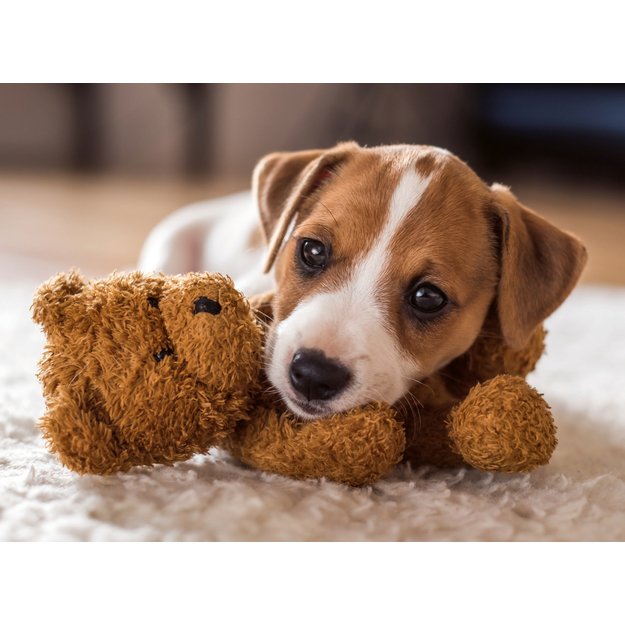 Ravensburger Puzzle 500 Pieces: Cute Puppy