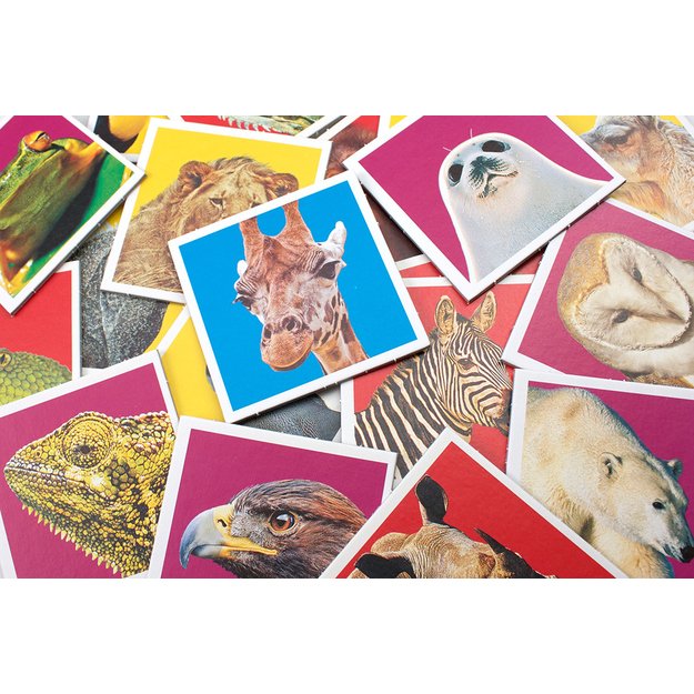Tactic Board Game Memo Wildlife 