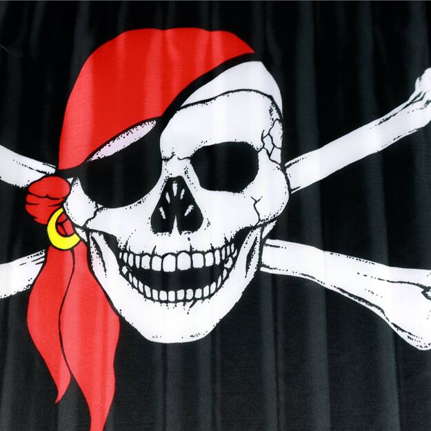 the pirate flag, 47x30 cm