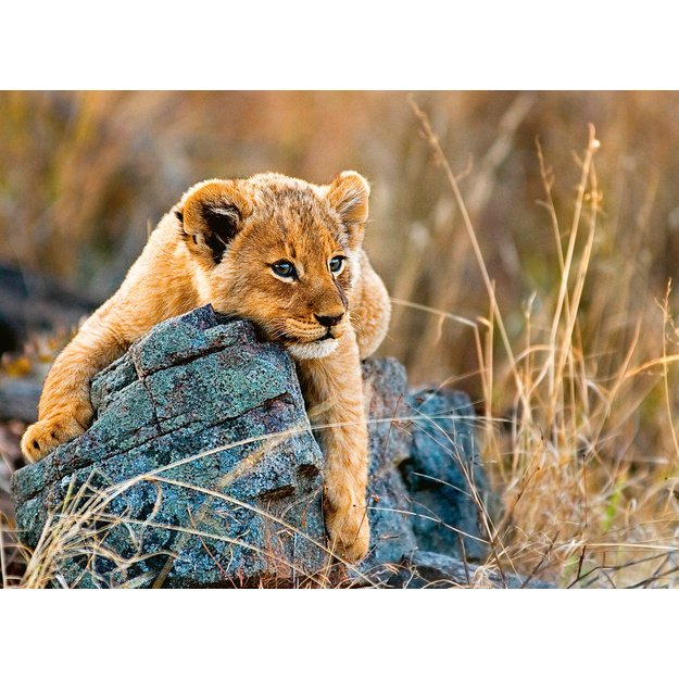 Ravensburger Puzzle 200 pc Lioncub