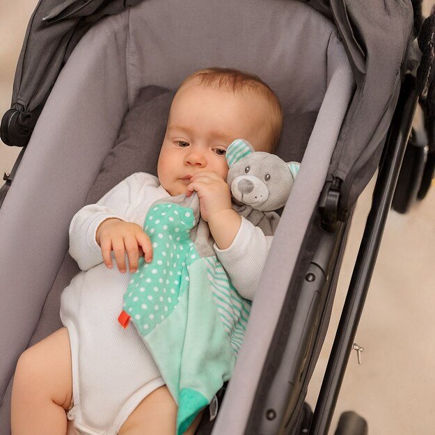 Meškiuko kūdikių mišinys mėtinis 1