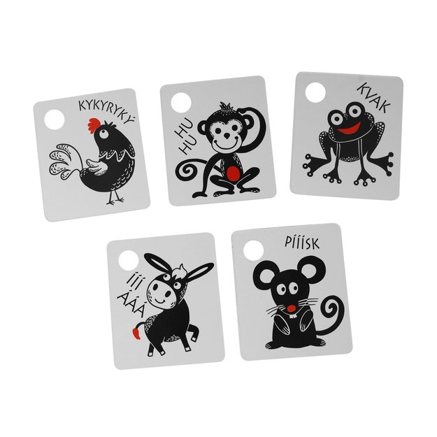 Kontrastinės kortelės su spalvų elementu 4