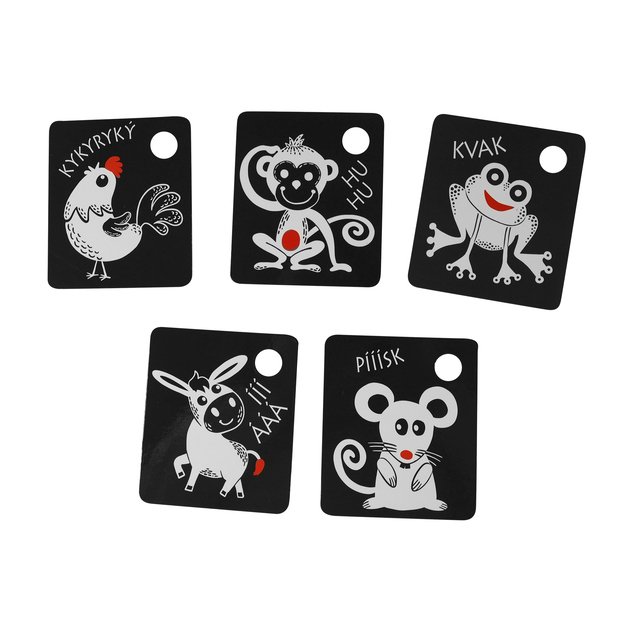 Kontrastinės kortelės su spalvų elementu 5