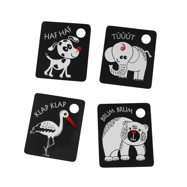 Kontrastinės kortelės su spalvų elementu 7