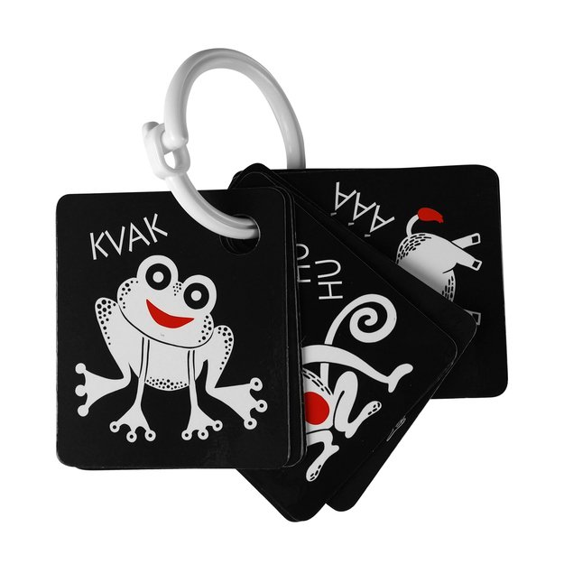 Kontrastinės kortelės su spalvų elementu 3