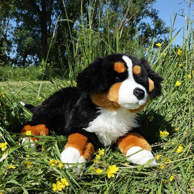 Plush Bernese dog 61 cm ECO-FRIENDLY 2