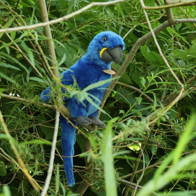 Plush Macaw 25 cm ECO-FRIENDLY 5