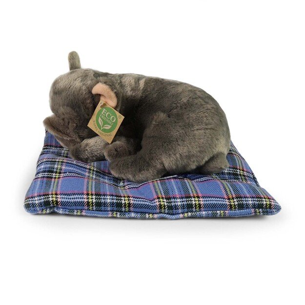 Plush Bulldog 23 cm ECO-FRIENDLY 3