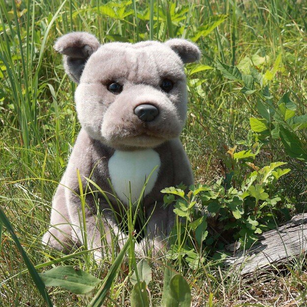 Staffordshire Bull Terrier 30 cm ECO-F. 5