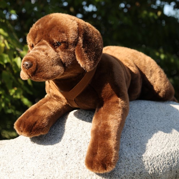 Pliušinis labradoro šuniukas 61 cm EKOLOGIŠKAS 4