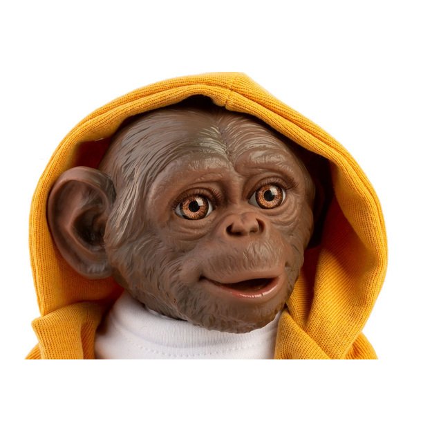 Guca 988 ATGIMĘS BEŽDŽIONĖ - realistiška 3