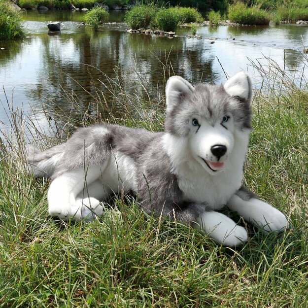 Plush Husky dog 60 cm ECO-FRIENDLY 1