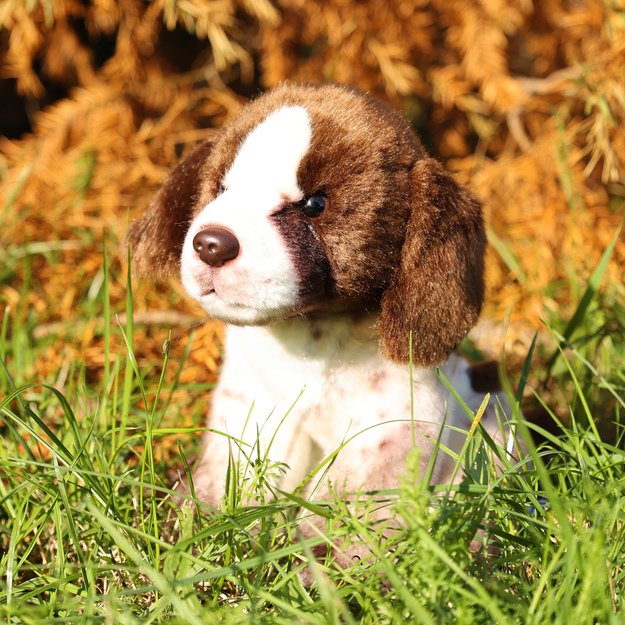 Pliušinis šuo 24 cm EKOLOGIŠKAS 1