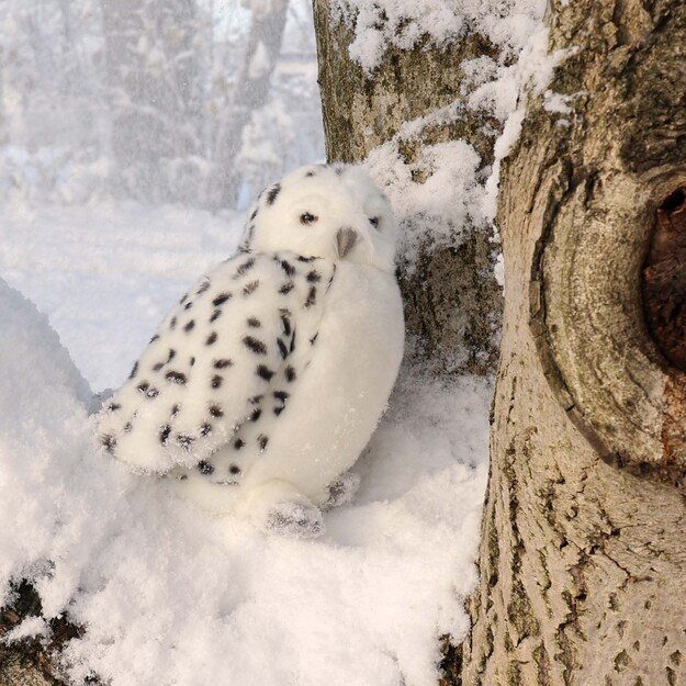 Pliušinė balta pelėda su besisukančia galva 28 cm ECO-F. 6
