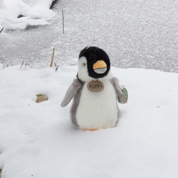 Plush penguin 20 cm ECO-FRIENDLY 4
