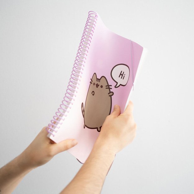 Pusheen - A4 A4 segtuvas su elastine juostele + 30 permatomų marškinių