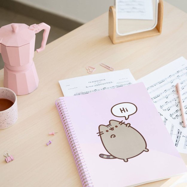 Pusheen - A4 A4 segtuvas su elastine juostele + 30 permatomų marškinių