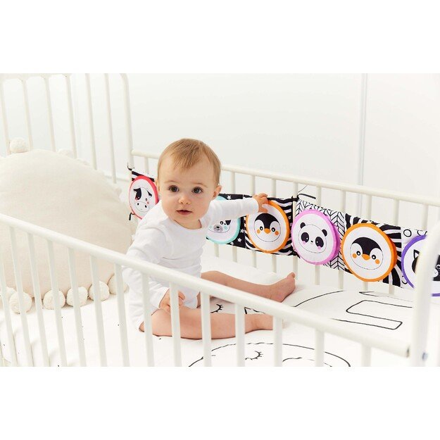 GAGAGU RACCOON KNYGA 7