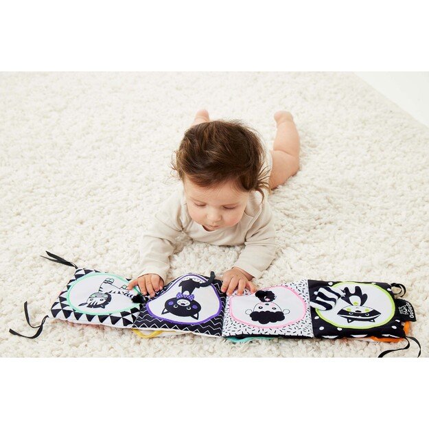 GAGAGU RACCOON KNYGA 6