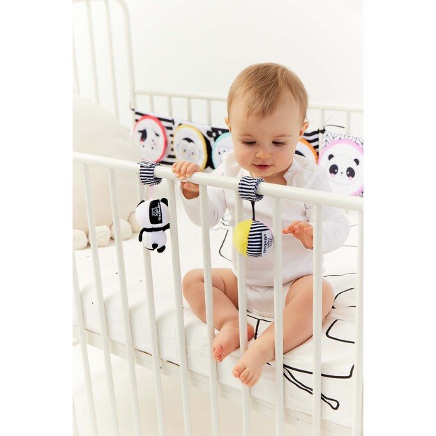 GAGAGU RACCOON KNYGA 3