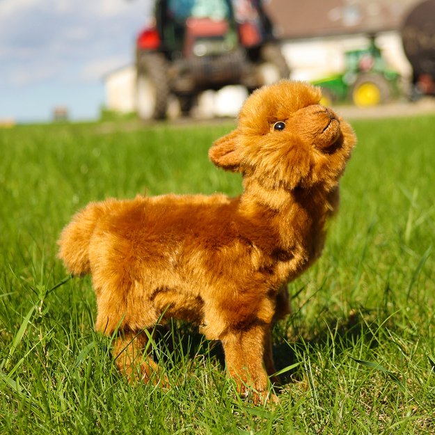 Pliušinis rudas lama 23 cm EKOLOGIŠKAS 4