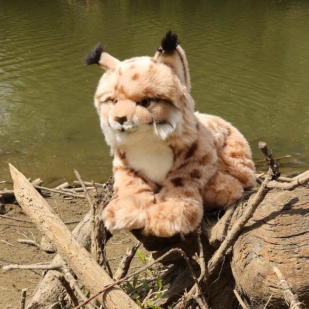 Plush lynx 27 cm ECO-FRIENDLY