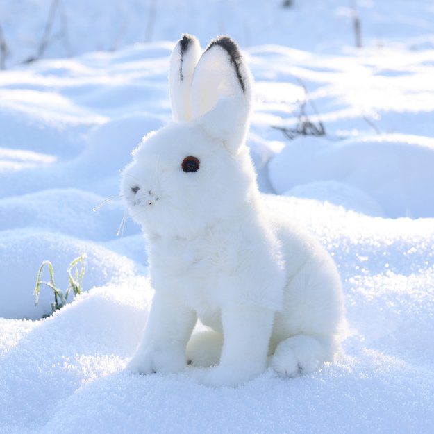Plush polar hare 30 cm ECO-FRIENDLY