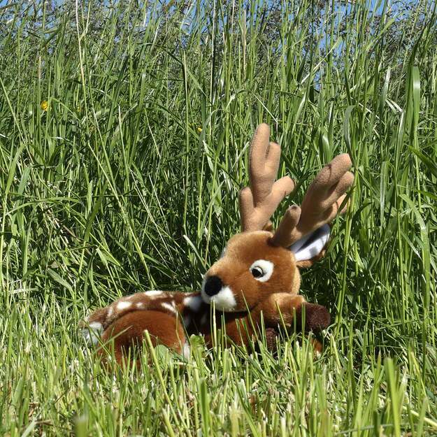 Plush fallow deer 28 cm ECO-FRIENDLY