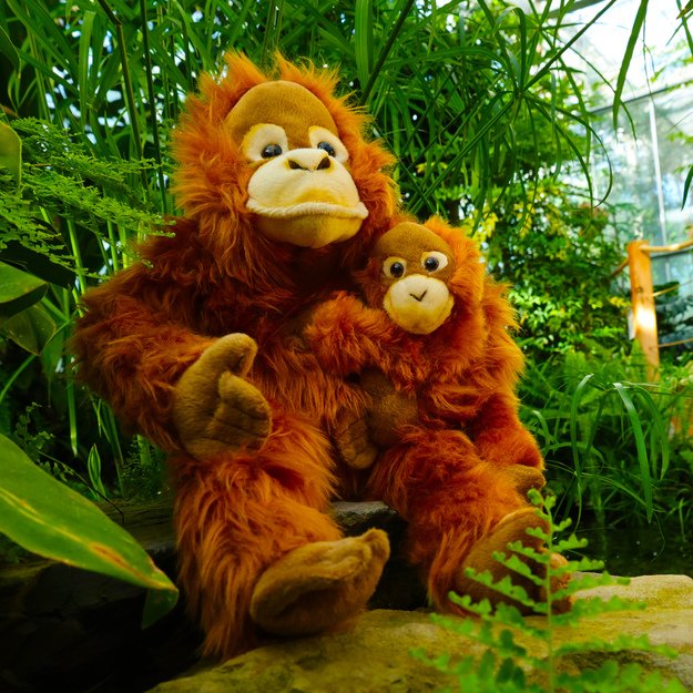Plush orangutan with baby 28 cm ECO-F.