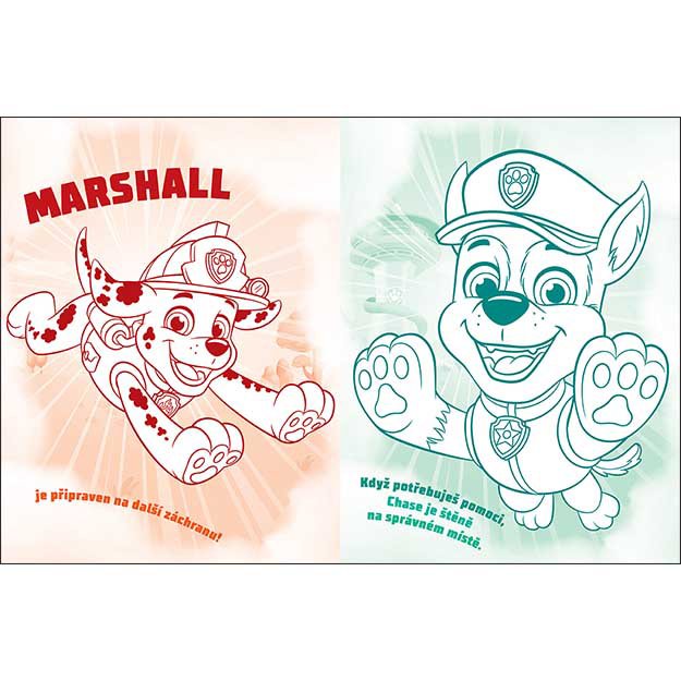 Coloring book and 100 Paw Patrol tattoos