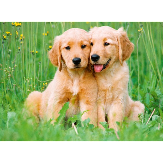 Ravensburger Puzzle 500 Pieces: The Golden Retrievers