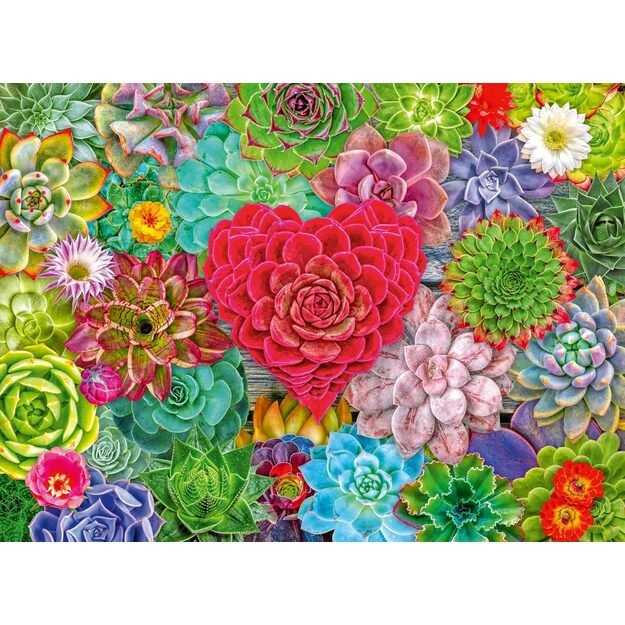 Ravensburger Puzzle 500 Pieces: Succulent Love