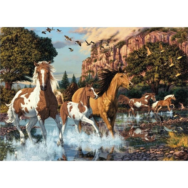 Dino Secret Puzzle 1000 pc Horses