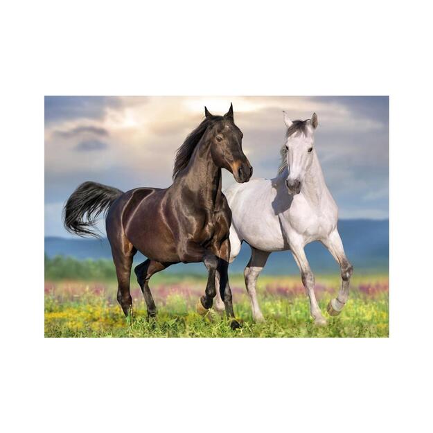 Dino Puzzle 500 pc Horses in Love