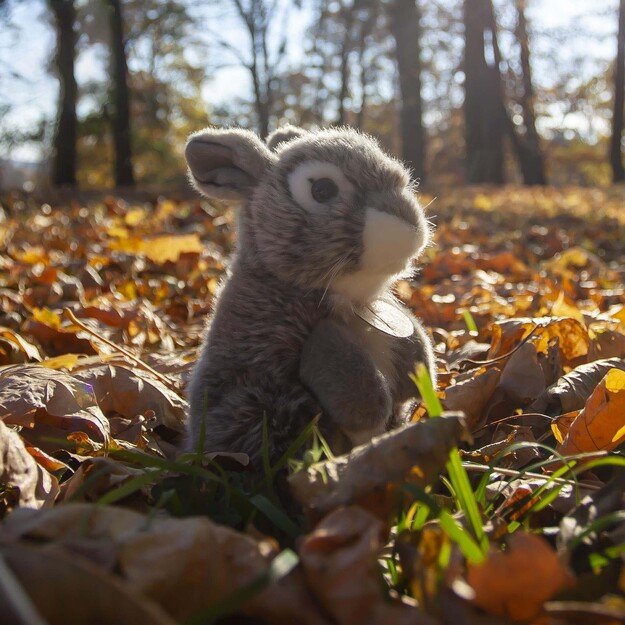 Pliušinis kiškis 20 cm EKOLOGIŠKAS 5