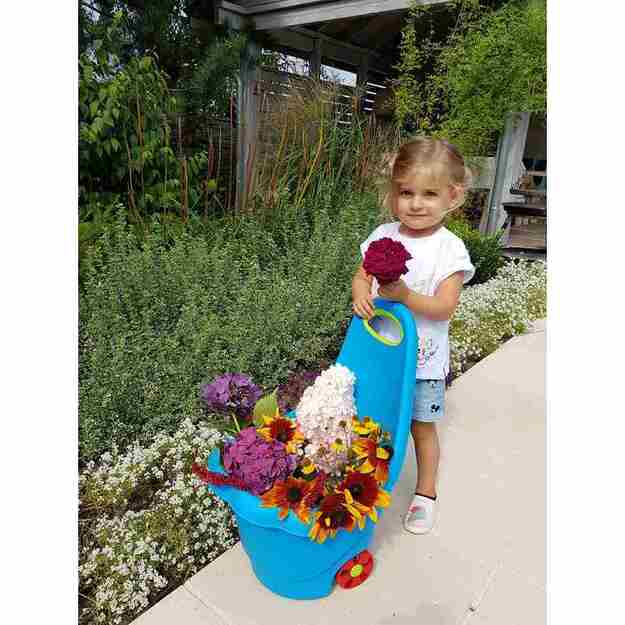 Vaikiškas daugiafunkcis vežimėlis BAYO Daisy 60 cm rožinis