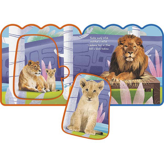 My first leporelo ZOO 2